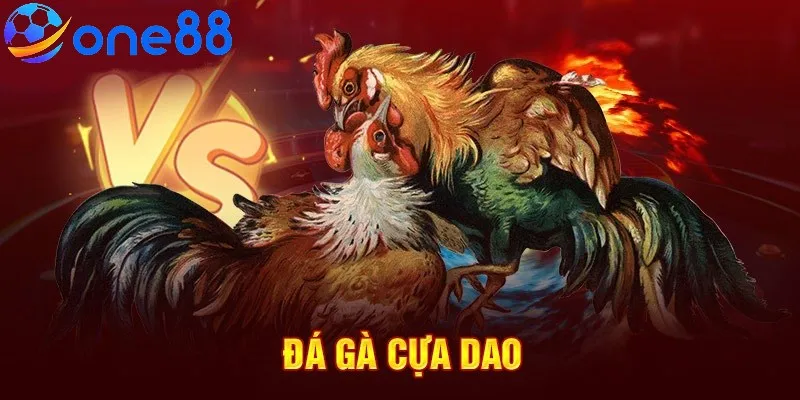 Chú ý chọn kèo phù hợp khi tham gia cá cược đá gà