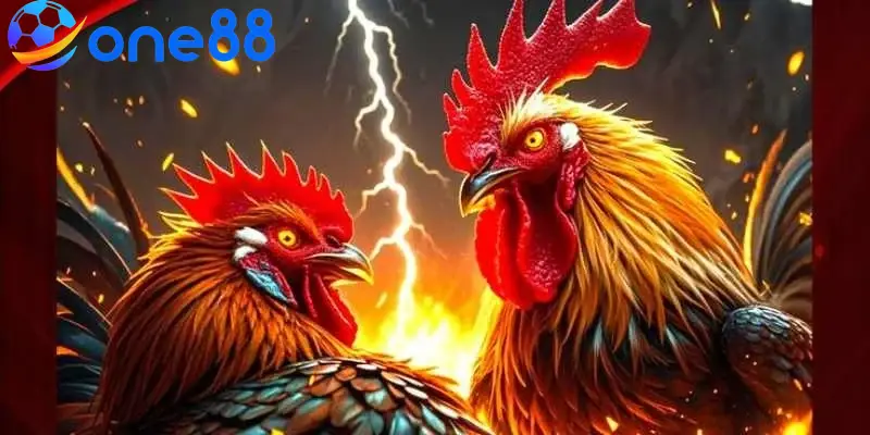 Đá gà casino tại ONE88 luôn có sức hút lớn với người chơi đam mê chọi gà